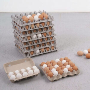 Eggs